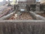 image of grave number 835105
